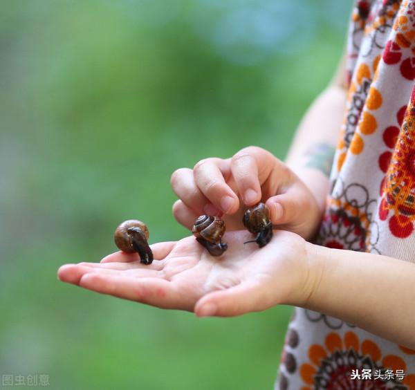 各種蝸牛護膚品是怎麼來的? 各種蝸牛護膚品是怎麼來的?