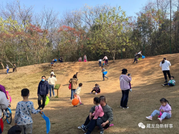 江夏藏龍島這裡新添了一個“滑草”樂園！孩子們嗨翻天