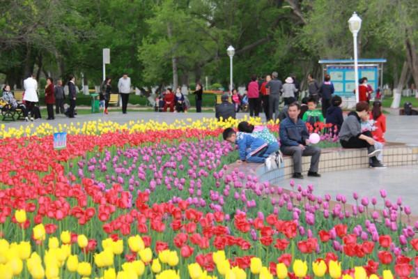 一起走進塔城文化廣場