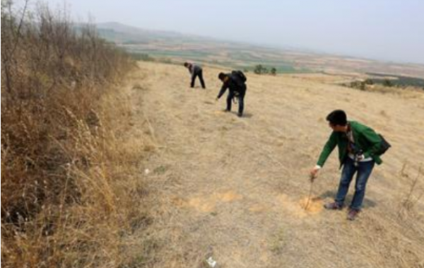 “開啟康王墳，山東不受貧”：傳說中的康王寶藏，真的價值連城？