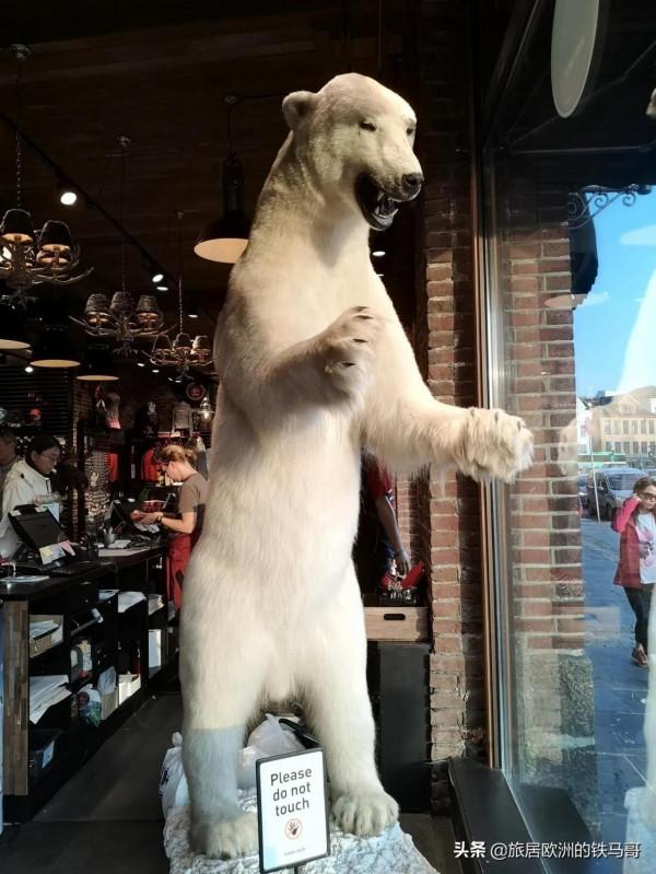 冬奧霸主挪威的夏天怎麼樣？自駕遊記-7