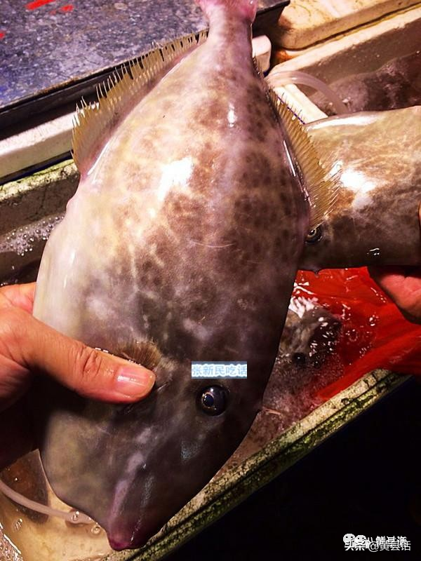 四川人最喜歡的耗兒魚，原來就是海邊的剝皮魚