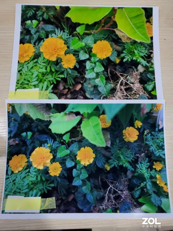 上億畫素照片列印 愛普生新品旗艦實測