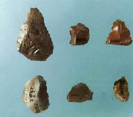 330萬年前的人類鼻祖，長得這個樣