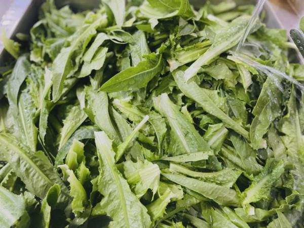 在柏林陽光幼兒園,食材須過五關斬六將 在柏林陽光幼兒園,食材須過五關斬六將