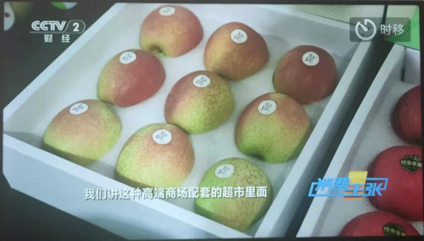 紅富士蘋果今年不好賣？那什麼樣的蘋果更好賣？