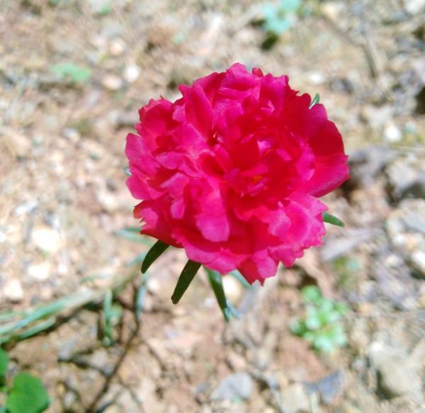 老師佈置了1份作業，導致我和孩子冷戰三天，到底是誰錯了