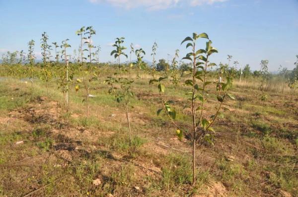 古代遍地是空地，為何農民寧肯被剝削，也不開荒？你想簡單了