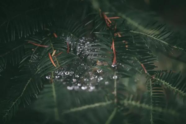 怎麼防止生病呢？