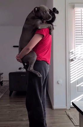 我養的不是狗,是隻502膠水 我養的不是狗,是隻502膠水