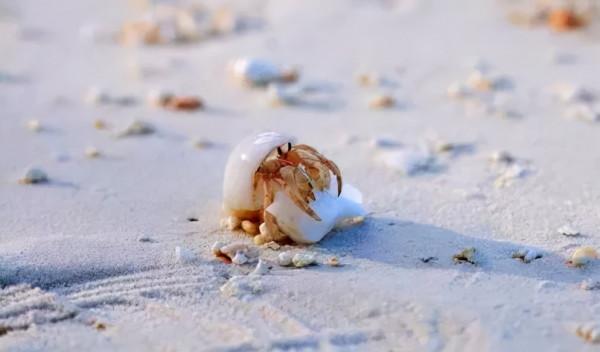 這樣的候鳥式旅居生活，你會喜歡嗎？