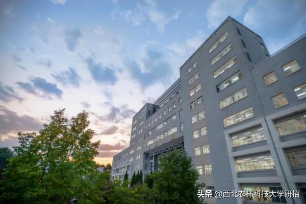 央視“點名”關注!陝西這所高校的全魚宴、巧克力饅頭饞哭網友 央視“點名”關注!陝西這所高校的全魚宴、巧克力饅頭饞哭網友