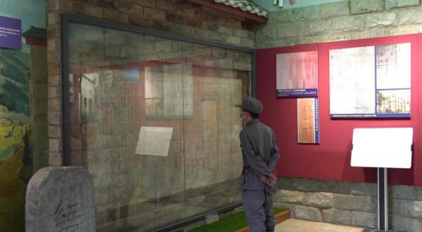 了不起的它們 | 一面有秘密的牆