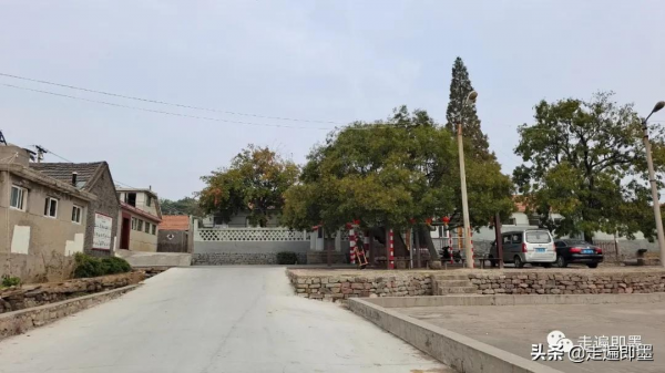 走遍即墨——大留村