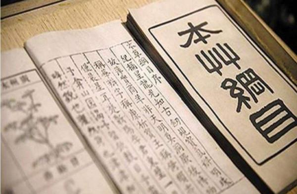 清肝排毒要喝茶，總理與茶的故事，告訴你該喝什麼茶才養生