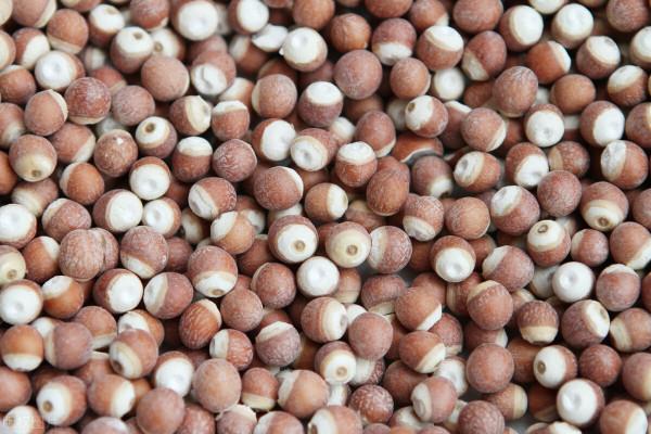 脾虛可導致老年人流口水（健康提示）