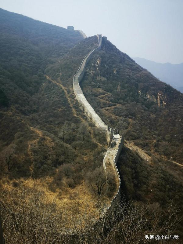 春回古長城，夢在杏花海。望殘垣斷壁，聽虎嘯聲威