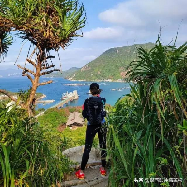 香港娛樂圈女神齊爬山,梁洛施、黎姿、李嘉欣、陳茵媺罕曬素顏照 香港娛樂圈女神齊爬山,梁洛施、黎姿、李嘉欣、陳茵媺罕曬素顏照