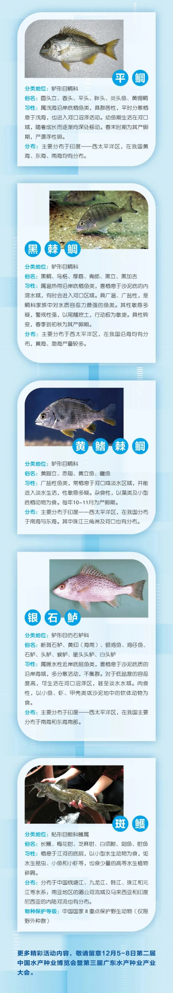 水產種業大閱兵即將開幕！這38個廣東重點魚類種質資源保護品種將亮相↘