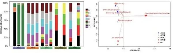 氣候變化影響下造礁石珊瑚早期共生關係的可塑性研究獲進展 氣候變化影響下造礁石珊瑚早期共生關係的可塑性研究獲進展