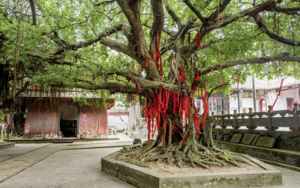雷州有座千年古祠，全國罕見的五代石人石狗