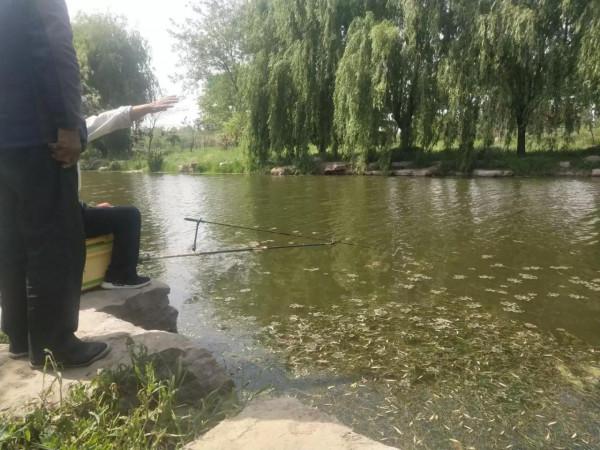 釣魚和射魚者引起爭吵，卻被稱多管閒事！射魚該不該被制止？