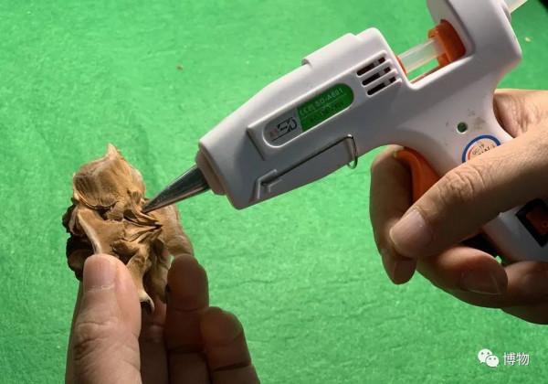 教你做純天然,不花錢的聖誕花環 教你做純天然,不花錢的聖誕花環