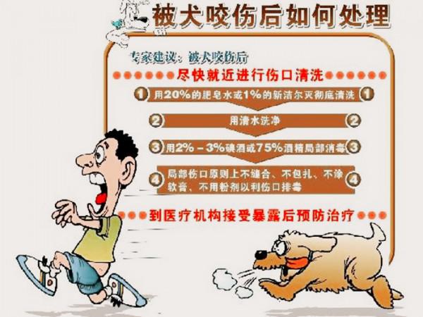 男子被寵物狗咬傷，打了狂犬疫苗，半個月後，人為什麼還是沒了？