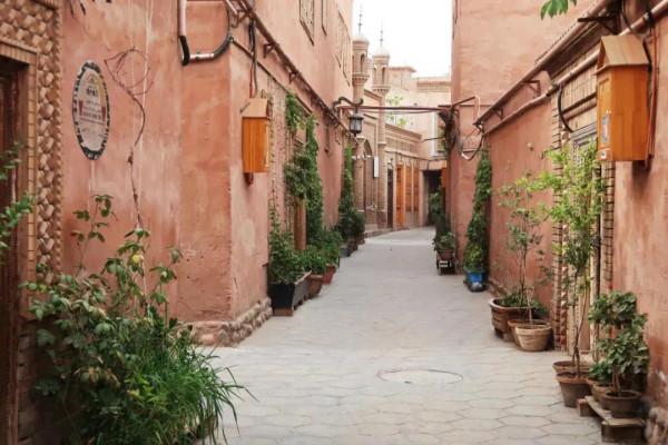 跟著秋天，去新疆