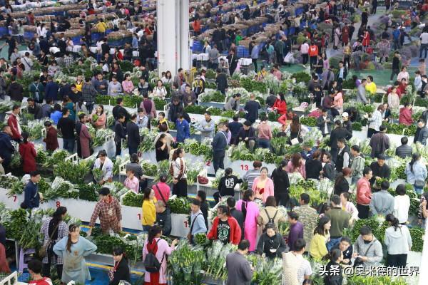 中國最早開通國際動車的“雲南省”的20個冷知識,你知道幾個? 中國最早開通國際動車的“雲南省”的20個冷知識,你知道幾個?