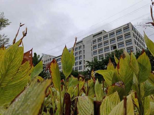 vivo S12 Pro評測：效能出眾，輕薄機身下的影像先鋒