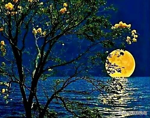 涓涓雋語七律.月下曲：遠黛嬋娟幾度悠，中秋西樓相思意