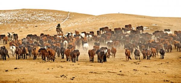 甘肅冷知識：推薦甘肅這22個世界之最和中國之最，你還知道哪些？