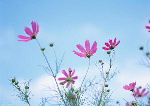 人到中年,看淡一切 人到中年,看淡一切