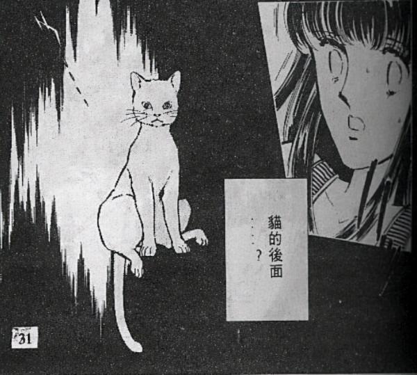 漫畫：愛貓死而復活，卻是借屍還魂，背後的原因讓少女恐懼