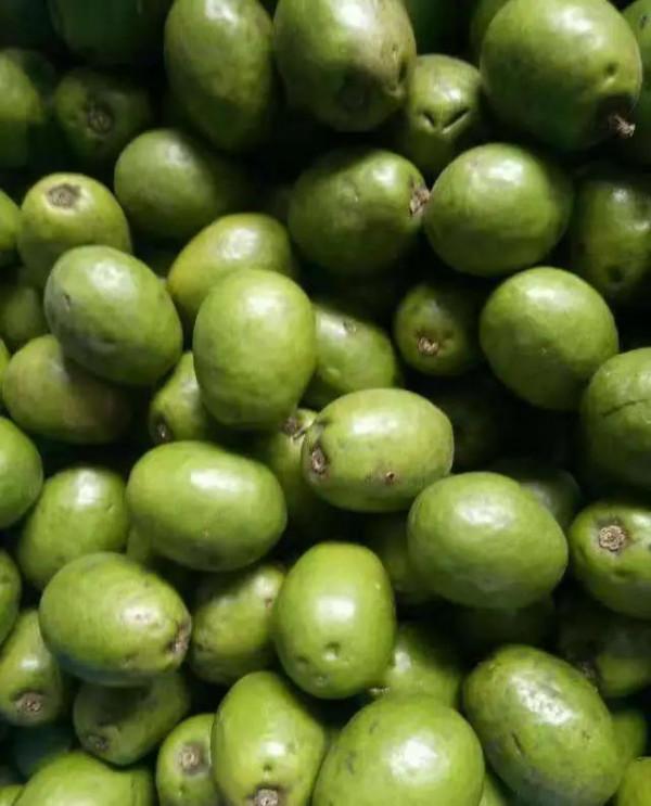 雲南的各種奇葩水果，吃法獨特，我還能叫出17種，都認識算你厲害