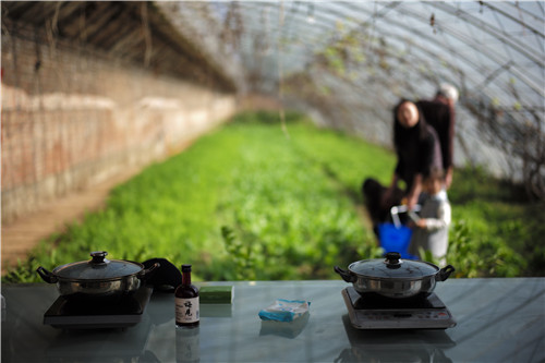 去京郊包個小院過大年