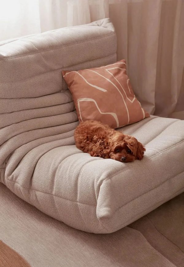 莫蘭迪色彩之家,寧靜夢幻 莫蘭迪色彩之家,寧靜夢幻