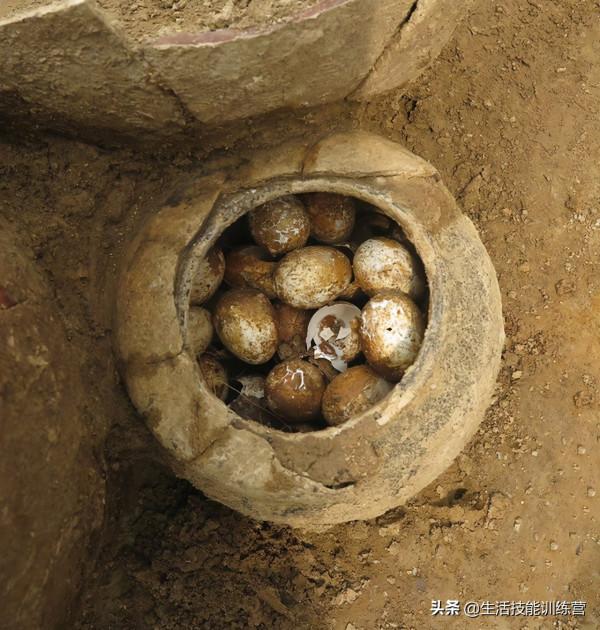 30件一出土就驚豔世人的文物Ⅲ 30件一出土就驚豔世人的文物Ⅲ