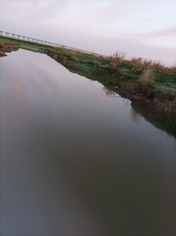 5米寬的河溝頻率逐漸加快，魚口竟然如此暴躁