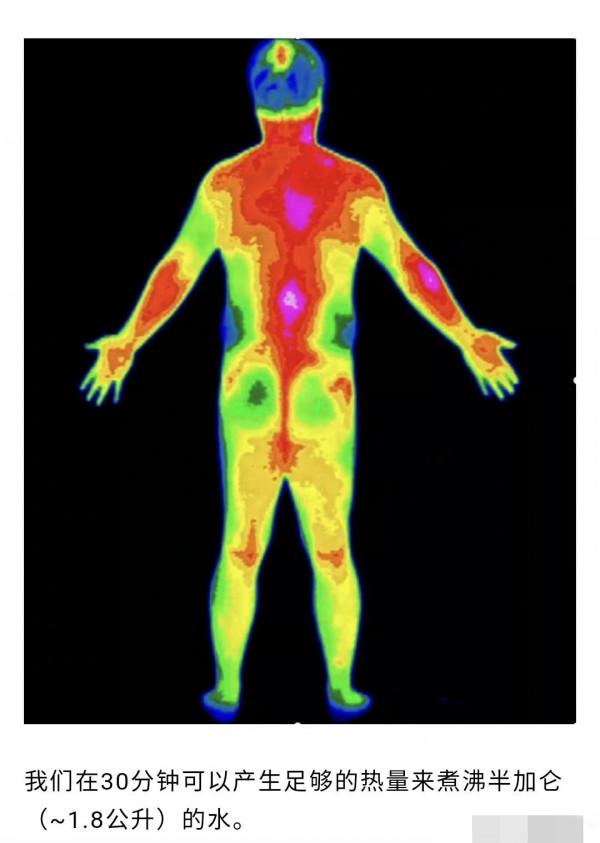 關於人體，那些你不知道的冷知識