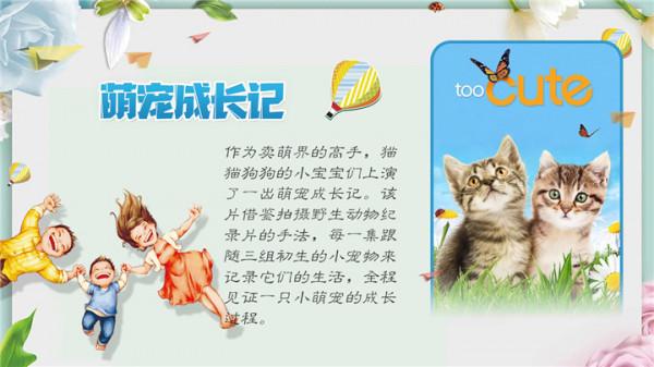 “雙減”之下，這些親子紀錄片值得一看