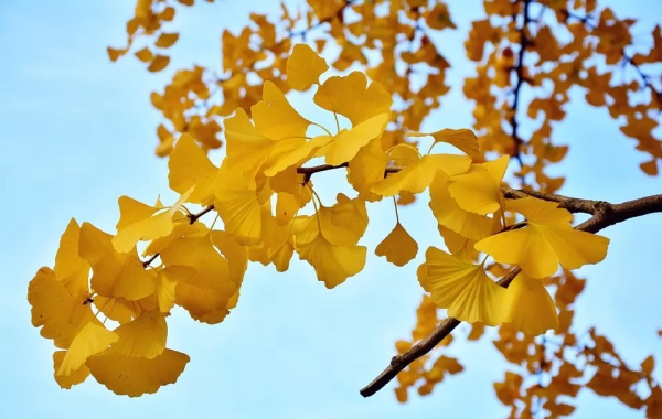抓住秋天的尾巴，快來這8個絕美旅行地，享受當下的美景吧