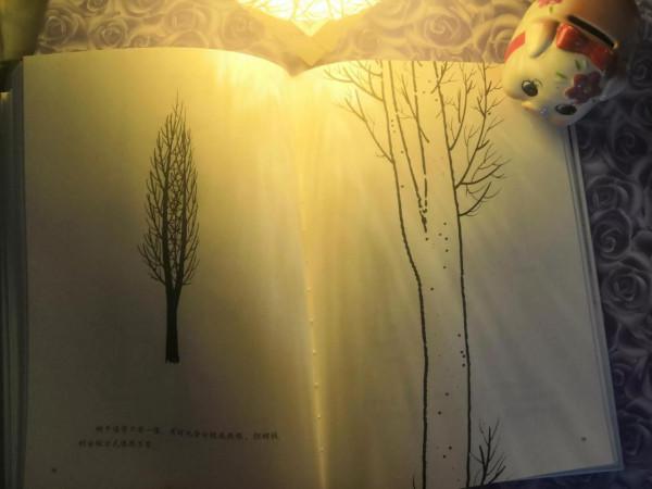 開啟一本書，就是一個神奇的世界