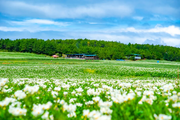 2022你的旅行清單是什麼？10個值得去的旅行地，有在你的清單嗎？