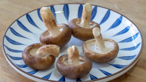 天冷了,8道熱乎乎的菜學起來,暖胃又暖身,每天換著花來,真香 天冷了,8道熱乎乎的菜學起來,暖胃又暖身,每天換著花來,真香