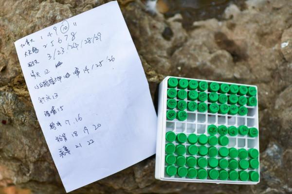 圍觀北京動物園水鳥體檢現場:鳥兒也不愛被捅嗓子眼兒 圍觀北京動物園水鳥體檢現場:鳥兒也不愛被捅嗓子眼兒