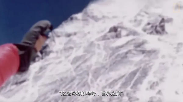 生機勃勃的地球：每一個生命都同等燦爛