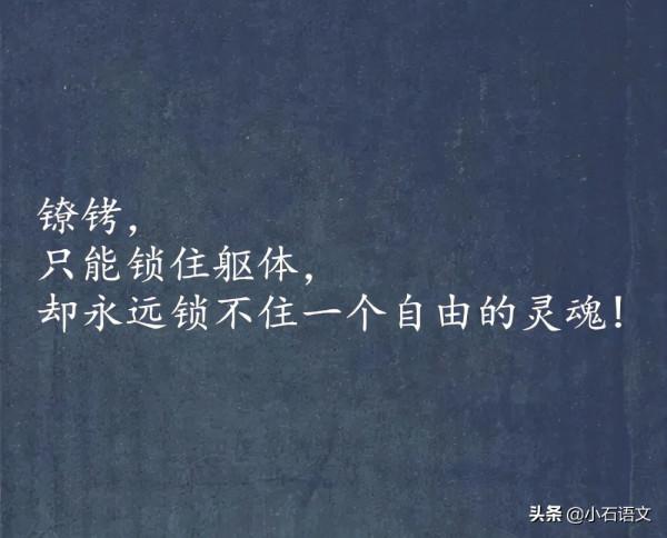 一隻叫“咖啡”的狗 一隻叫“咖啡”的狗