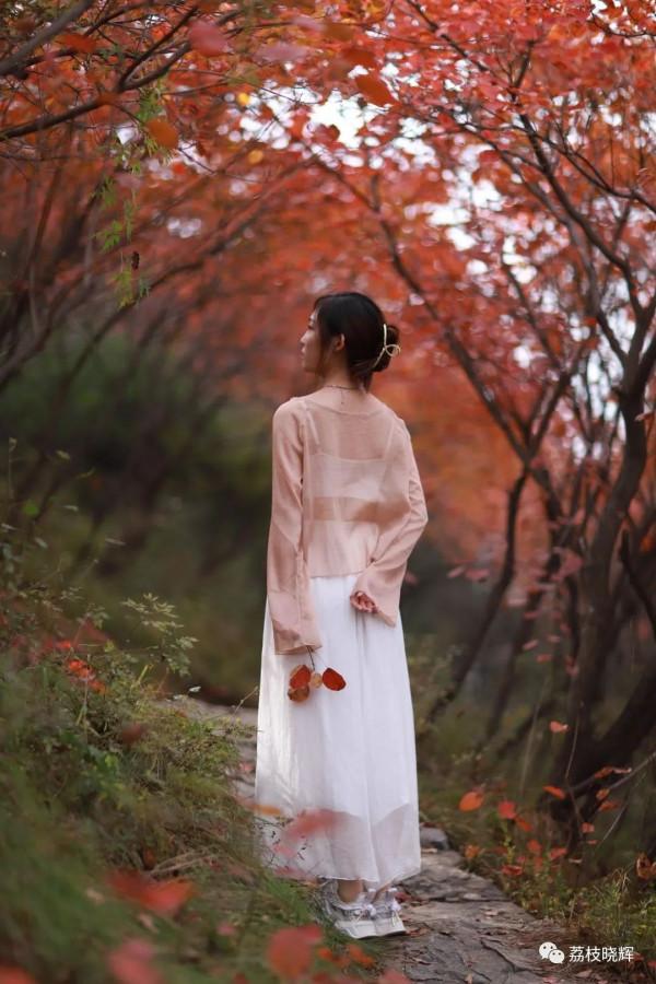賞紅葉，不能早，也不能晚，時間一定要恰到好處